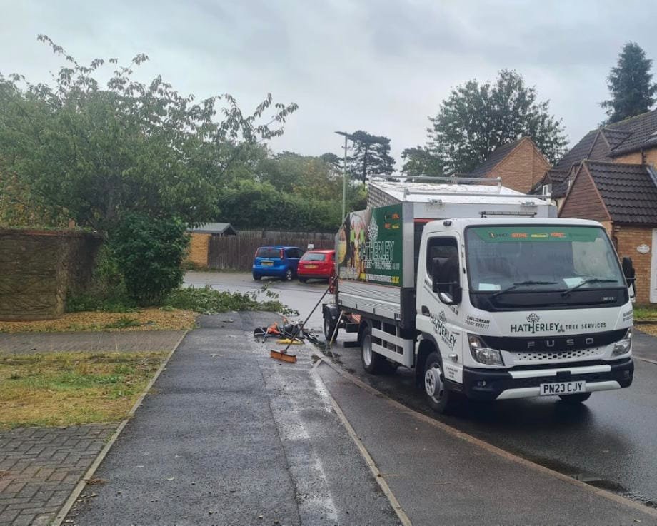 Hatherley Tree Services