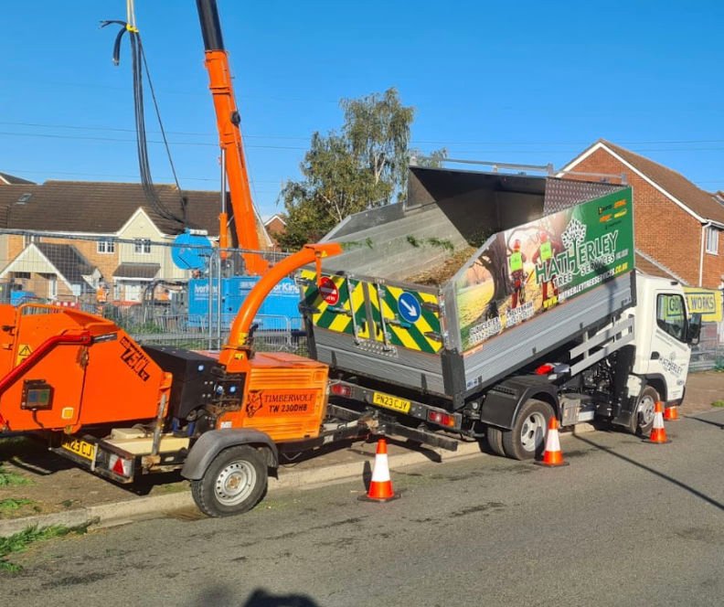 Hatherley Tree Services