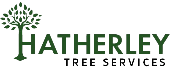 Hatherley Tree Services