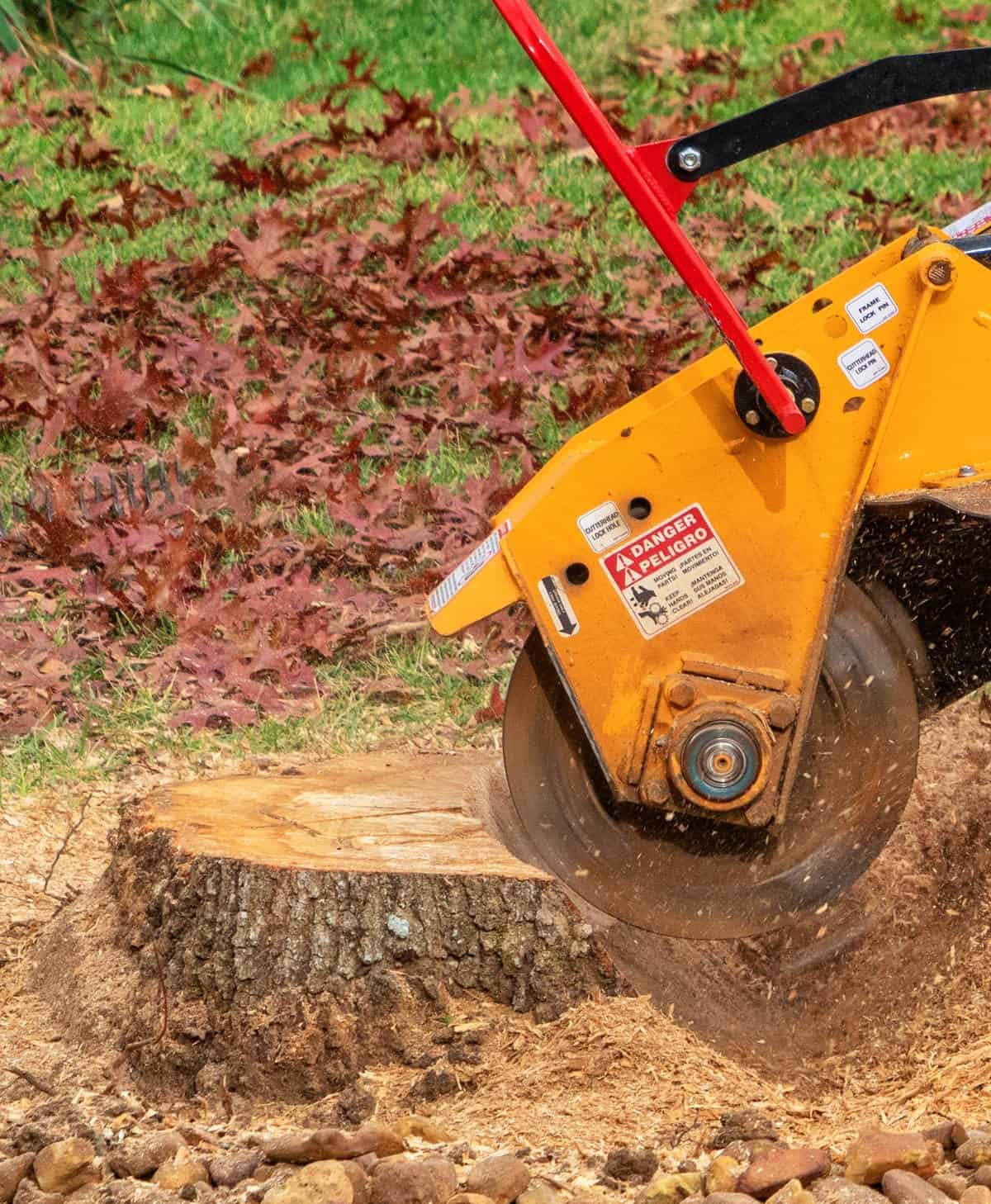 Tree Stump Grinder